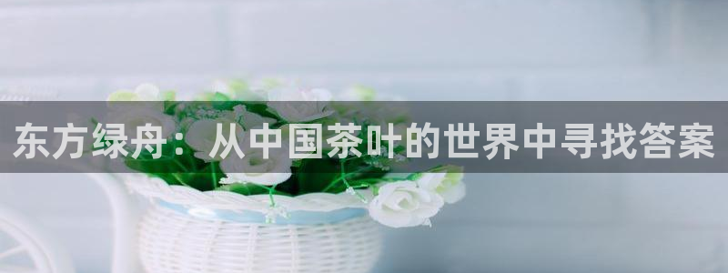 鸿运国际彩票平台