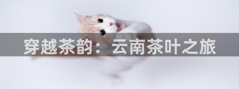 下载鸿运直播平台