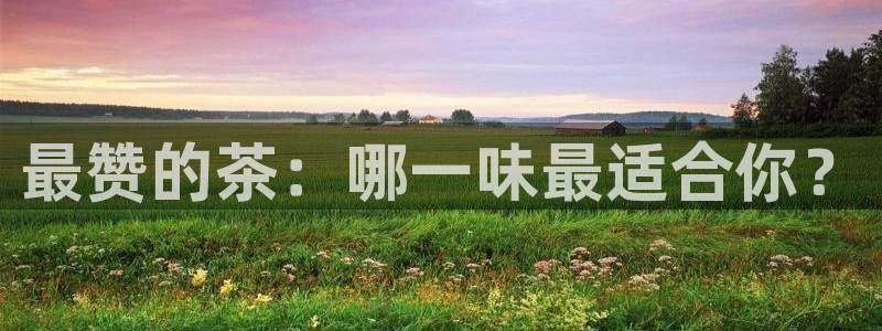 鸿运棋牌平台