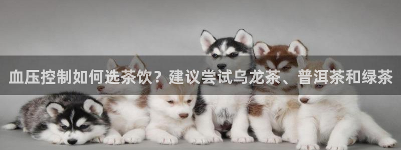 鸿运美食团购平台