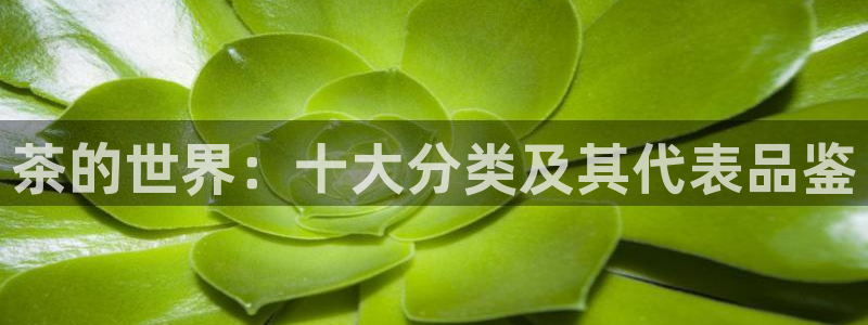 大发鸿运彩票平台
