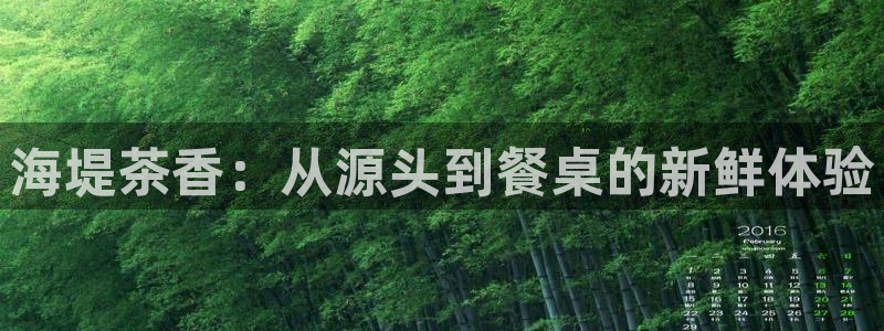 鸿运购平台怎么样