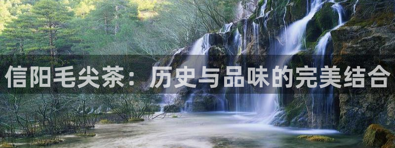 鸿运国际平台国