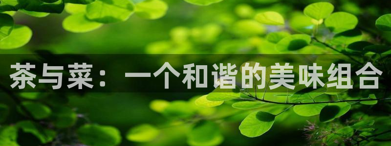 鸿运合拍字画拍卖平台