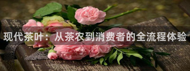 琥珀鸿运是啥平台