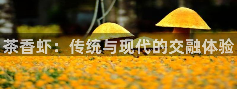 鸿运平台骗局曝光案例