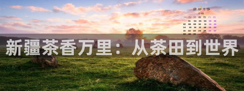 琥珀鸿运平台多久了