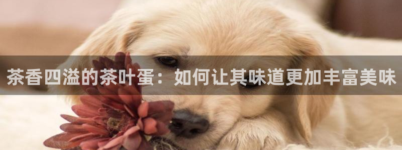 鸿运网彩票平台