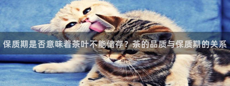 鸿运画室平台介绍