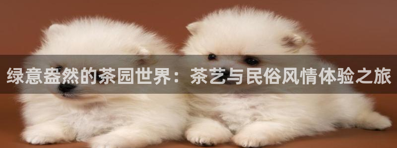 鸿运菜瞟平台
