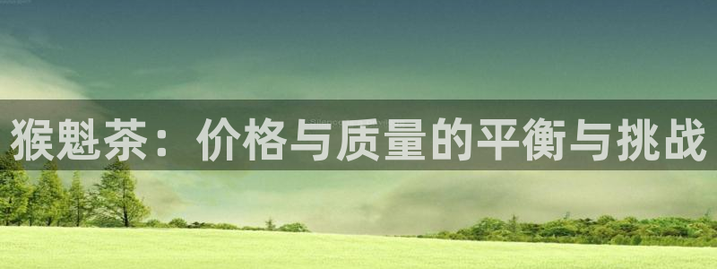 鸿运购平台怎么样