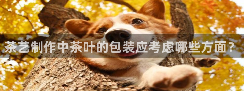 鸿运直播间平台