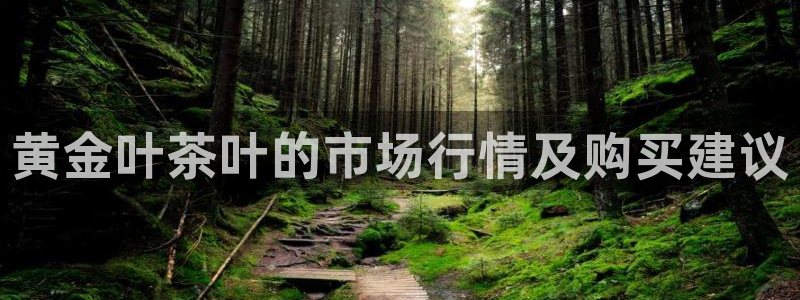鸿运手游平台