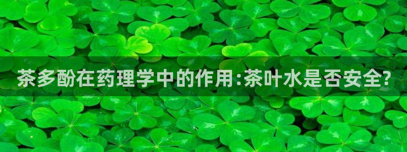鸿运中国平台