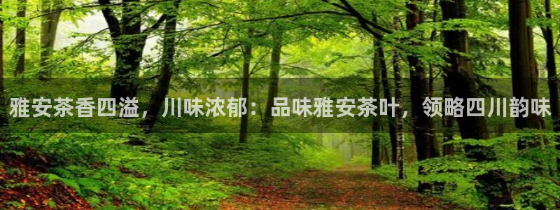 鸿运彩票网络平台