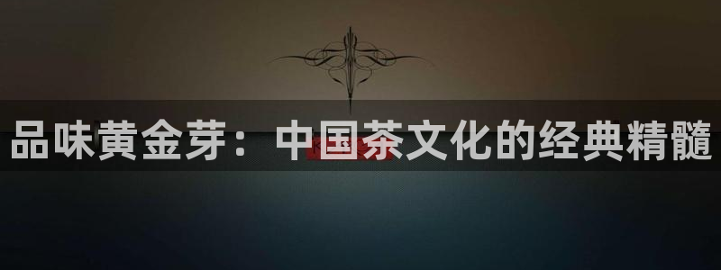 鸿运彩票注册平台