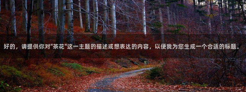 琥珀鸿运平台怎样赚钱的