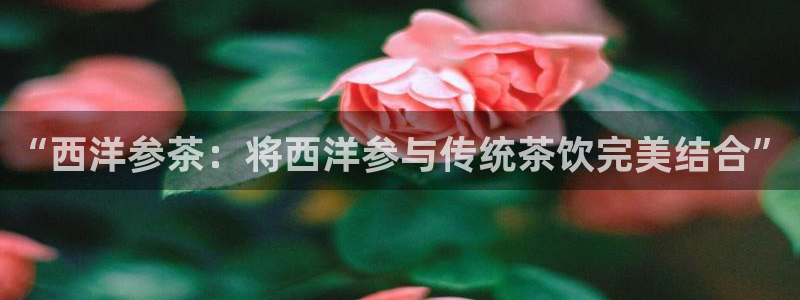 鸿运平台有哪些