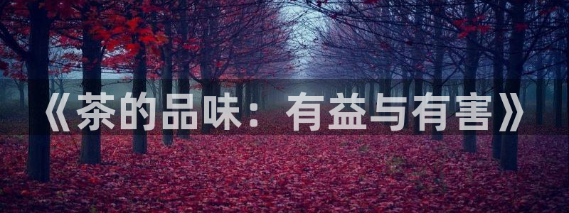 鸿运九九平台