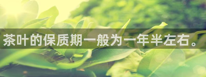 鸿运国际平台平台怎么样
