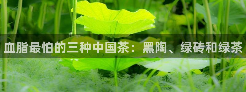 鸿运钱包平台正规吗