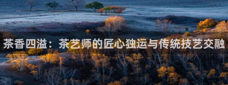 鸿运时时彩平台