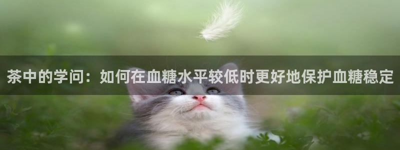 鸿运平台注册流程