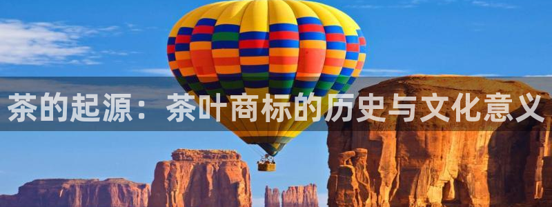 会员鸿运国际平台