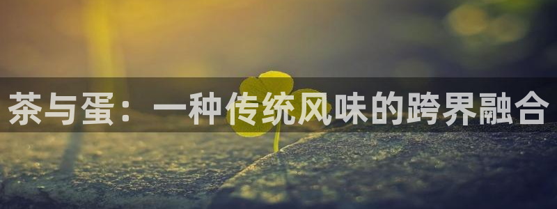 鸿运充值平台