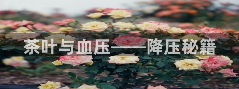 鸿运平台进入登录界面