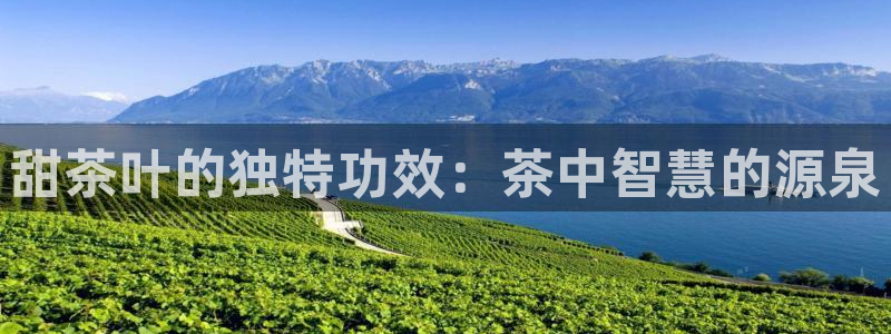 鸿运防水服务平台