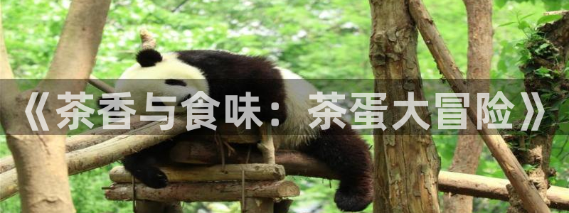 鸿运茶叶平台被骗