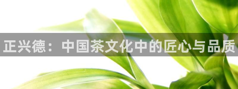 鸿运平台真假