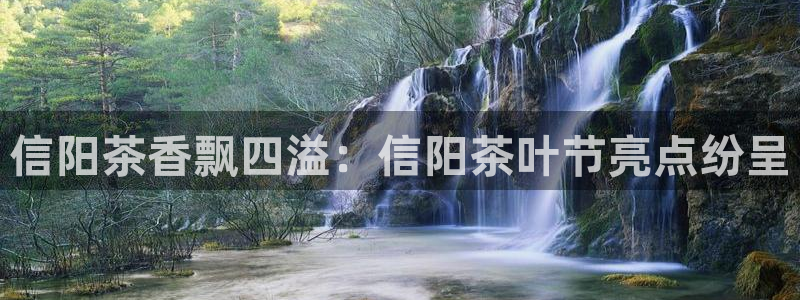 鸿运国际平台代理