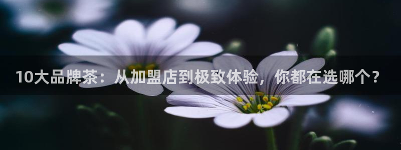 鸿运棋牌平台