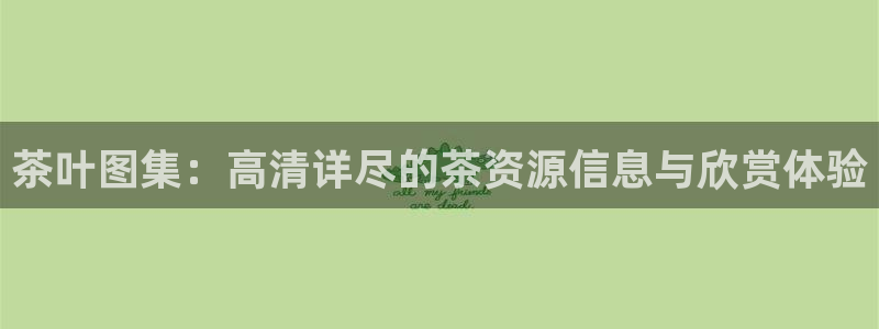 鸿运赌场平台