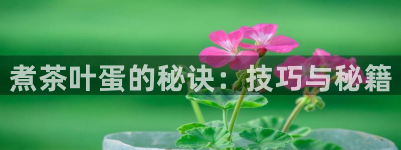 怎么进鸿运彩票平台