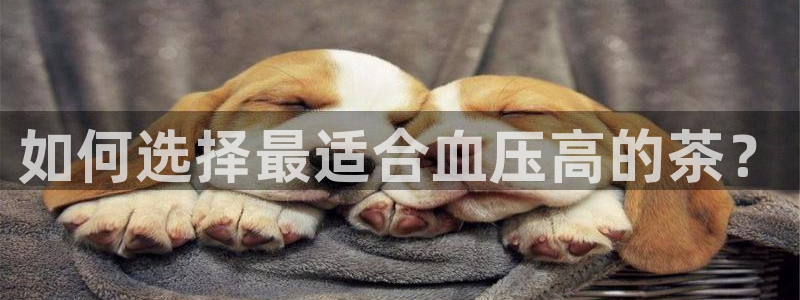 鸿运国际赌场平台