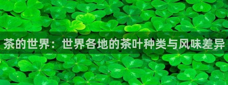 鸿运体育平台网址