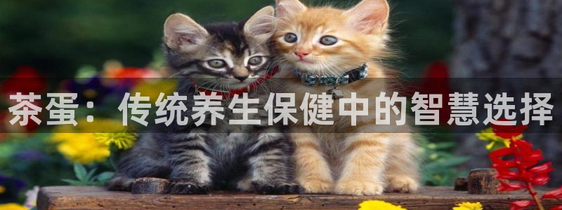 鸿运团队赚钱平台
