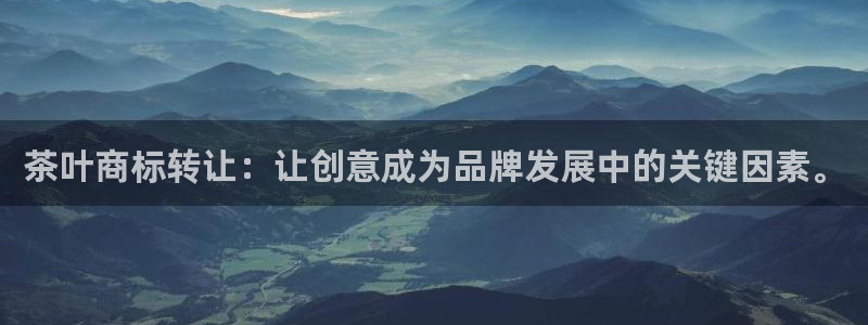 鸿运宝金融投资平台