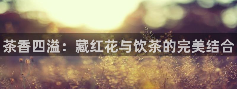 鸿运平台app
