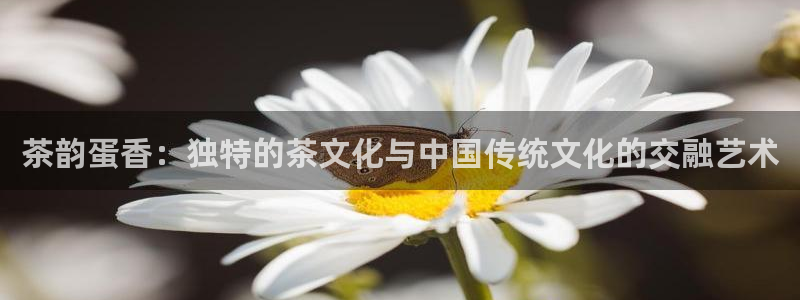 鸿运策略股票平台骗局