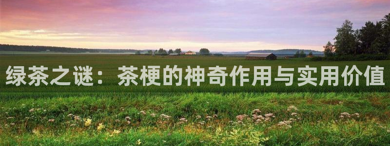 香港琥珀鸿运平台邀请码