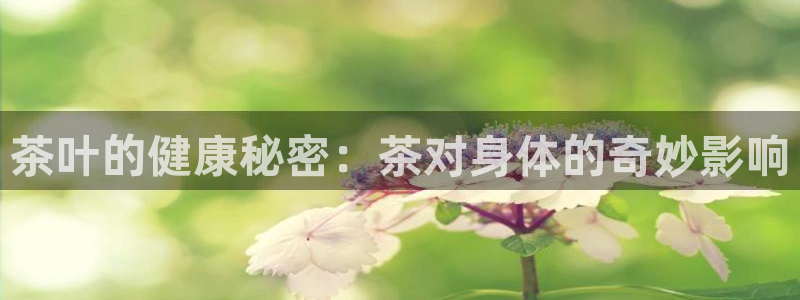 鸿运东方平台网站