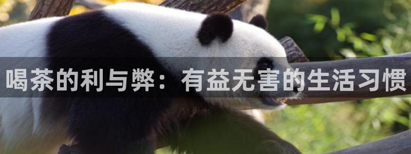 鸿运棋牌黑平台