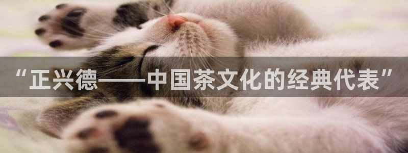琥珀鸿运是怎样的平台