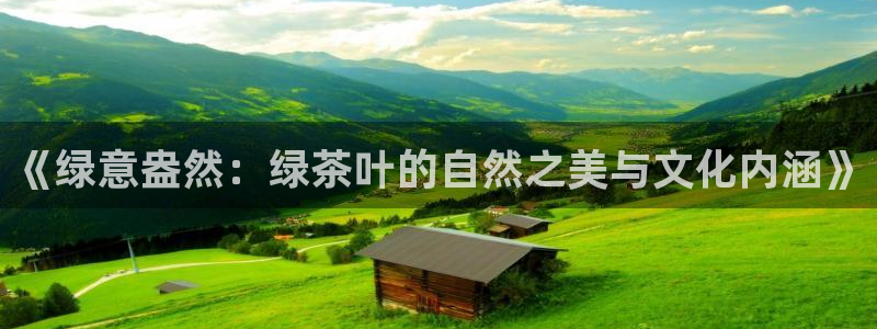 鸿运平台在线客服电话