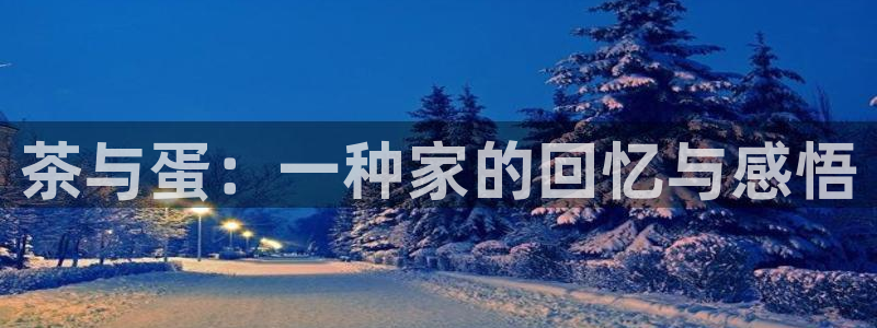 新鸿运娱乐平台