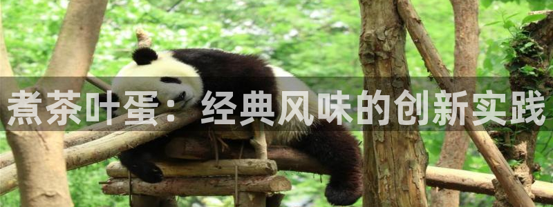 鸿运服务平台是什么平台